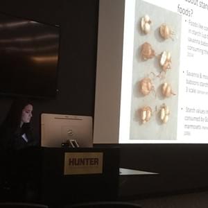 Camille Stewart, Hunter College