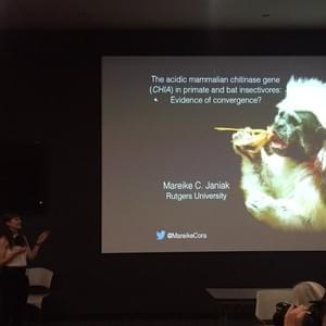 Marieke Janiak, Rutgers University