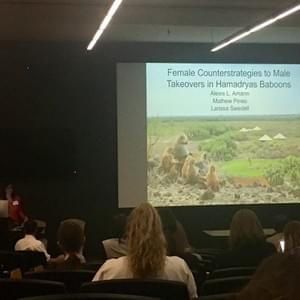 Alexis Amann, CUNY Graduate Center