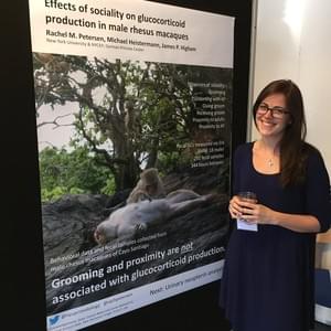 Rachel Petersen, New York University