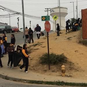 Limpieza entorno colegio