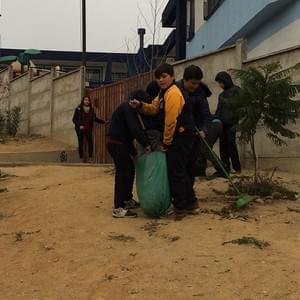 Limpieza entorno colegio