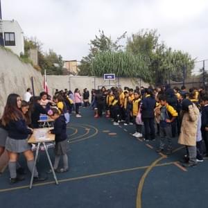 Elección Consejo Escolar