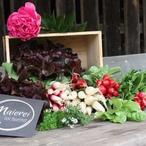 Biokistl im Frühjahr