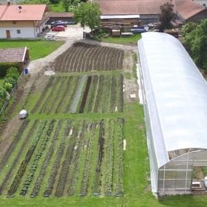 Vielfaltsgärtnerei, Marketgardening