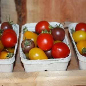 bunte Tomaten, verschiedene Sorten