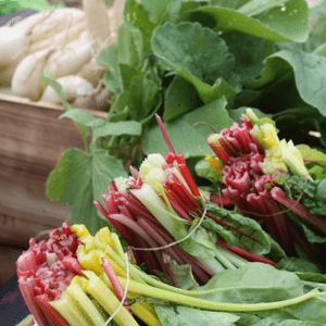 Bunter Mangold, Farbwunder