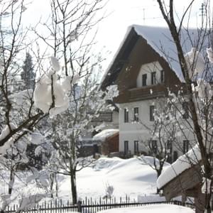 Winter am Hof