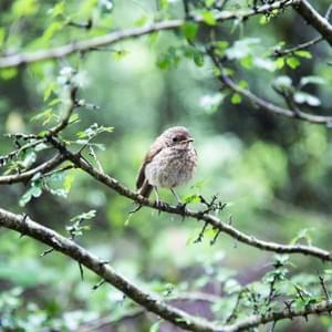 Photo by bardia Hashemirad on Unsplash