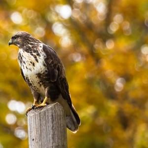 Photo by Alessandro La Becca on Unsplash