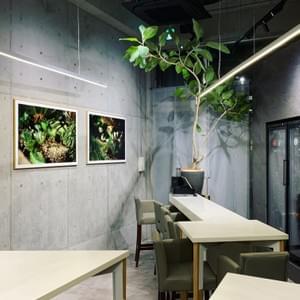 Gallery Mellow Cafe展示風景