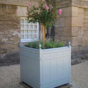 No.9 classic Versailles