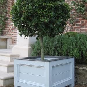 Low flat top No.4 with horizontal planking