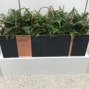 Minimal planting trough with random width panels  using semi-gloss and matt finishes with copper accents and capping
