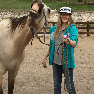Henry - Q-80447 Gelding dob 16.10.13