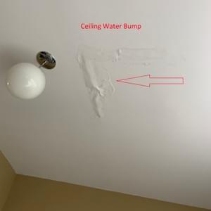 Ceiling Water Bump