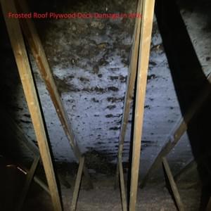 Frosted Roof Plywood Deck Damage In Attic