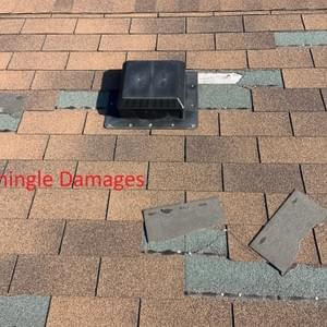 Shingle Damages