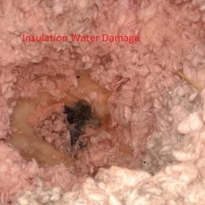 Insulation Water Damage