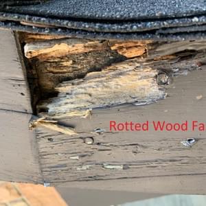Rotted Wood Fascia