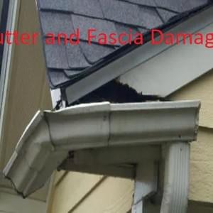  Gutter and Fascia Damage