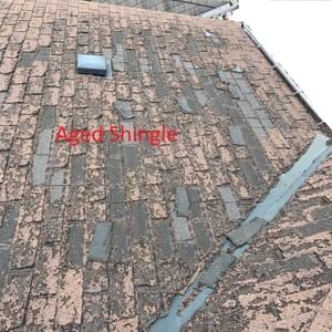 Aged Shingle