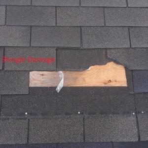 Shingle Damage