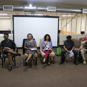 Panelists begin by introducing themselves...