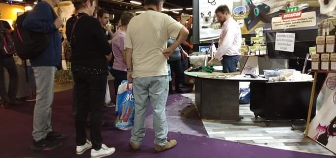 Foire et salon