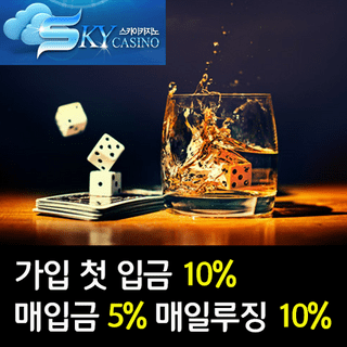 스카이카지노
