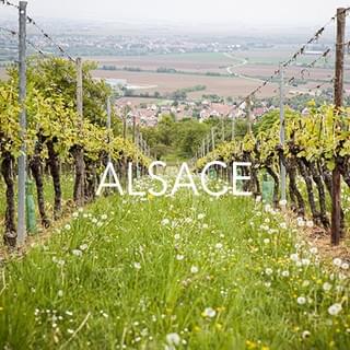 ALSACE