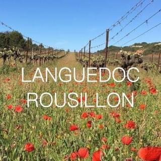 LANGUEDOC