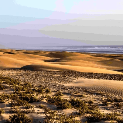 endless dune walks on deserted seashore