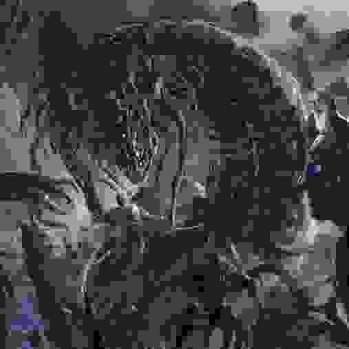 broken image