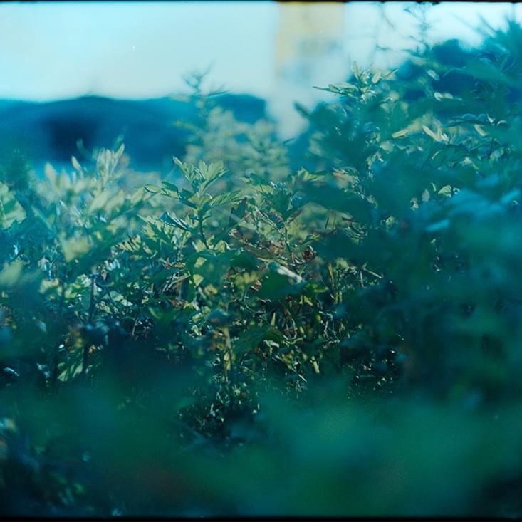 "Entering in and out the picture." 2022