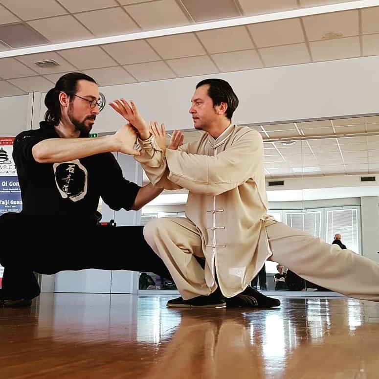 Il Tui Shou - Spinta con le mani