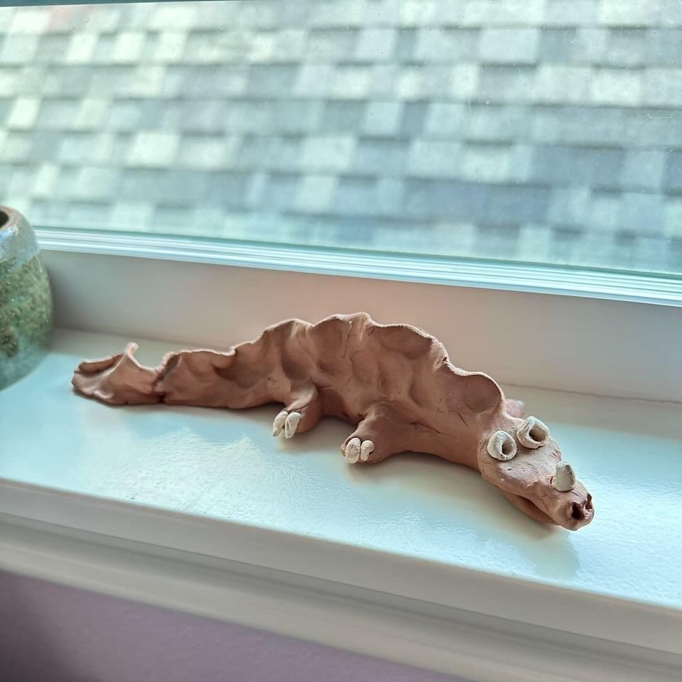 Alligator 