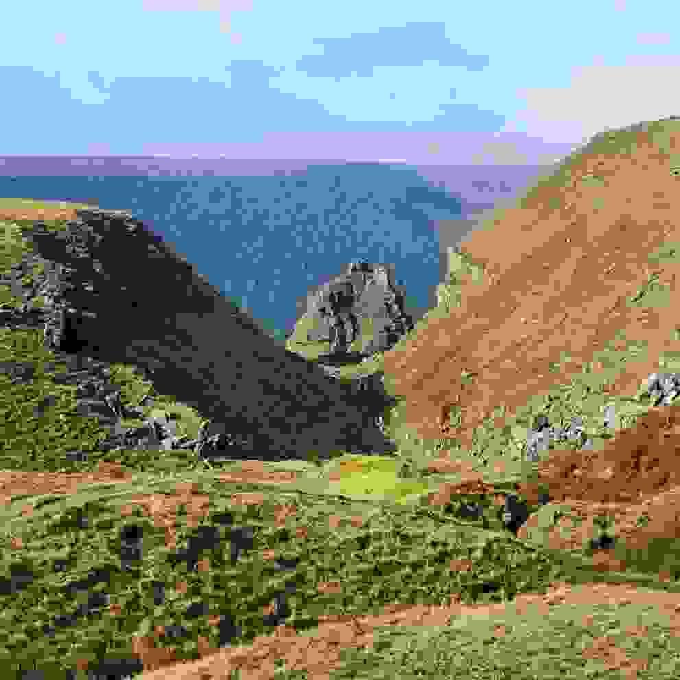 Section image