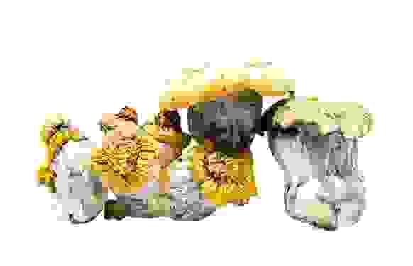 Shakti