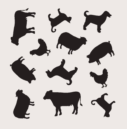 Mini 黑白動物感官絲巾 Mini Black and White Animal Playsilk
