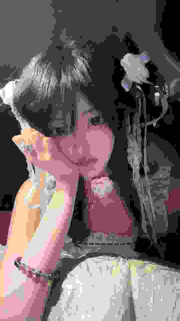 广东极品学生处女