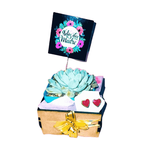 suculenta pequeña en caja de madera decorada  + aretes   varios estilos disponibles 