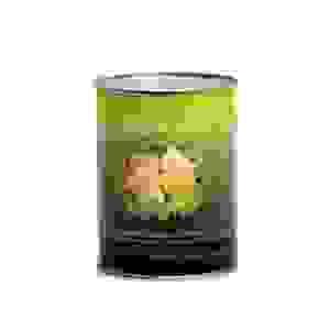 PRE0450 RED KIDNEY BEANS 24X400GR FIAMMA