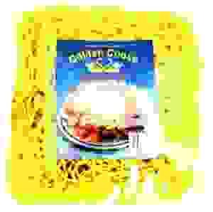 NDL0370 RICE STICKS BIHON 267GR GOLDEN GOOSE
