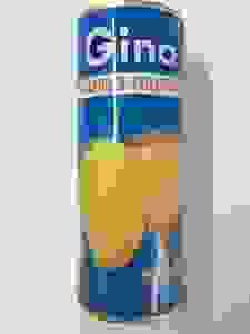 JUD0540 GINA MANGO JUICE 250ml