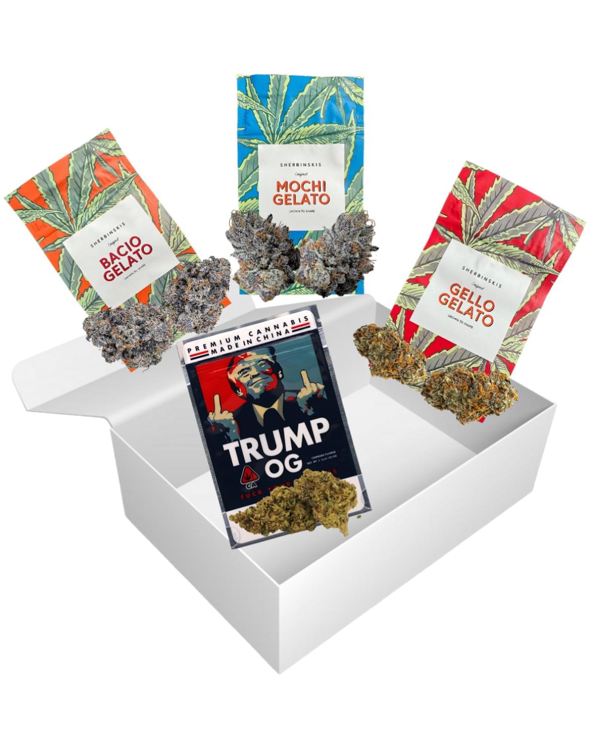 Bud Blitz Bundle