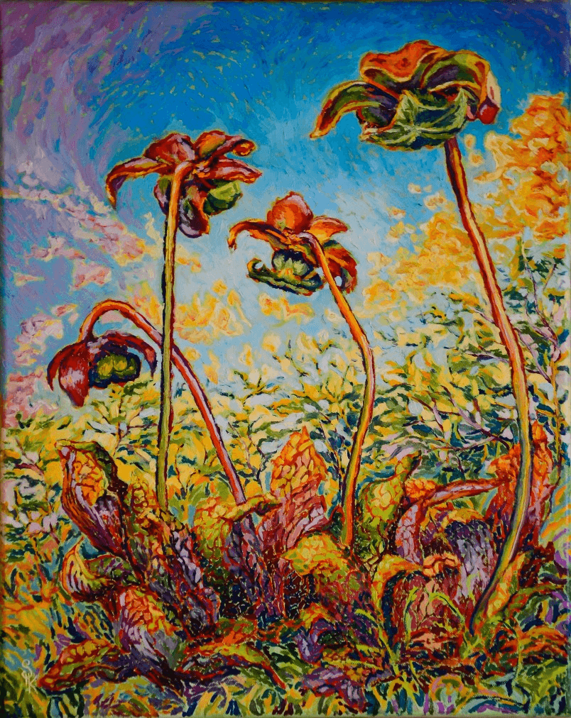 Pitcher Plants II