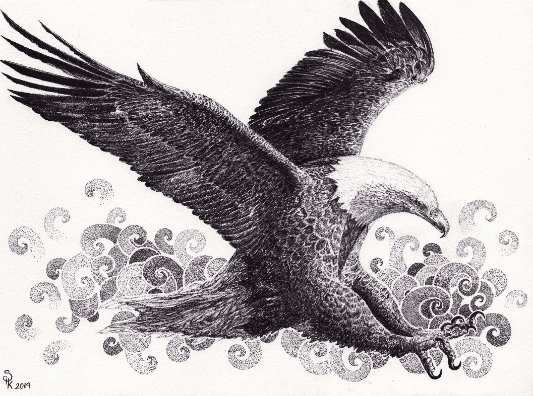 Feathered Bald Eagle