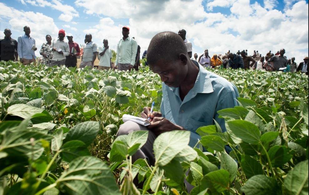 Agronomist / Crop Scientist