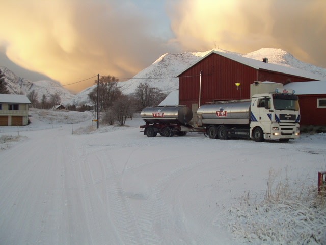 Mysetransport på Vega